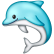 Dolphin on Samsung