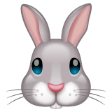 Rabbit Face on WhatsApp