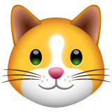 Cat Face on WhatsApp