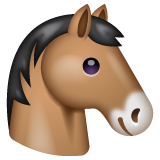 Horse Face on WhatsApp