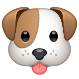 Dog Face on WhatsApp