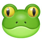 Frog Face on WhatsApp