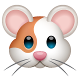 Hamster Face on WhatsApp
