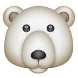 Polar Bear on WhatsApp