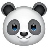 Panda Face on WhatsApp