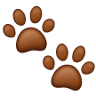 Paw Prints on Samsung