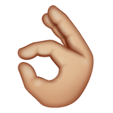 Ok Hand Sign: Medium-Light Skin Tone on WhatsApp