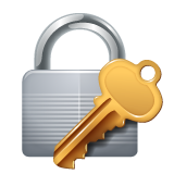 Closed Lock With Key on WhatsApp