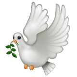 Dove on WhatsApp
