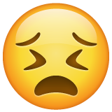 Persevering Face on WhatsApp