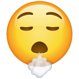 Face Exhaling on WhatsApp