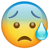 Face With Open Mouth And Cold Sweat on WhatsApp