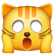 Weary Cat Face on Samsung