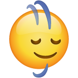 Head Shaking Vertically on WhatsApp
