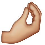 Pinched Fingers: Medium-Light Skin Tone on WhatsApp