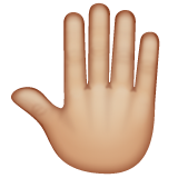 Raised Back Of Hand: Medium-Light Skin Tone on WhatsApp