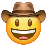 Face With Cowboy Hat on WhatsApp