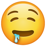 Drooling Face on WhatsApp