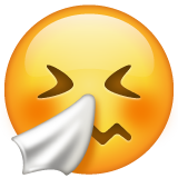 Sneezing Face on WhatsApp