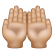 Palms Up Together: Medium-Light Skin Tone on Samsung