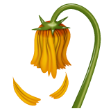 Wilted Flower on WhatsApp