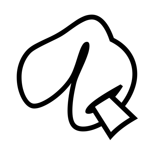 Fortune Cookie on Noto Emoji