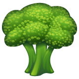 Broccoli on WhatsApp