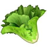 Leafy Green on WhatsApp