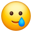 Smiling Face With Tear on Samsung