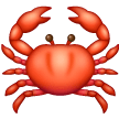 Crab on Samsung