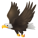 Eagle on WhatsApp
