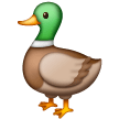 Duck on Samsung