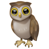 Owl on WhatsApp