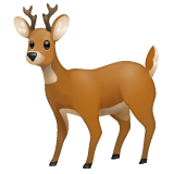 Deer on WhatsApp