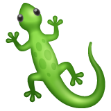Lizard on WhatsApp