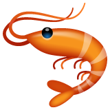 Shrimp on WhatsApp