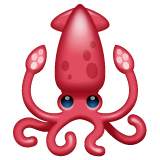 Squid on WhatsApp
