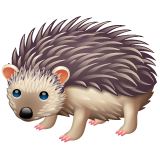 Hedgehog on WhatsApp