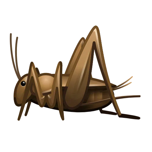 Cricket on Telegram