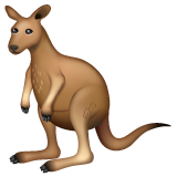 Kangaroo on WhatsApp