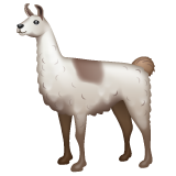 Llama on WhatsApp