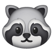Raccoon on Samsung