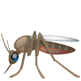 Mosquito on WhatsApp