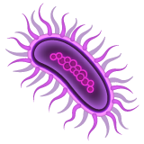 Microbe on WhatsApp