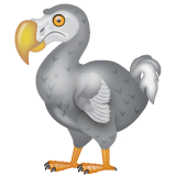 Dodo on WhatsApp