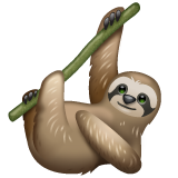 Sloth on WhatsApp
