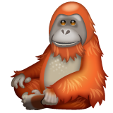 Orangutan on WhatsApp
