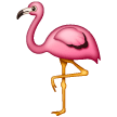 Flamingo on Samsung