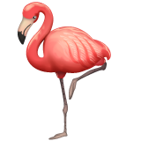 Flamingo on WhatsApp