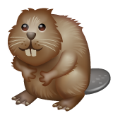 Beaver on WhatsApp
